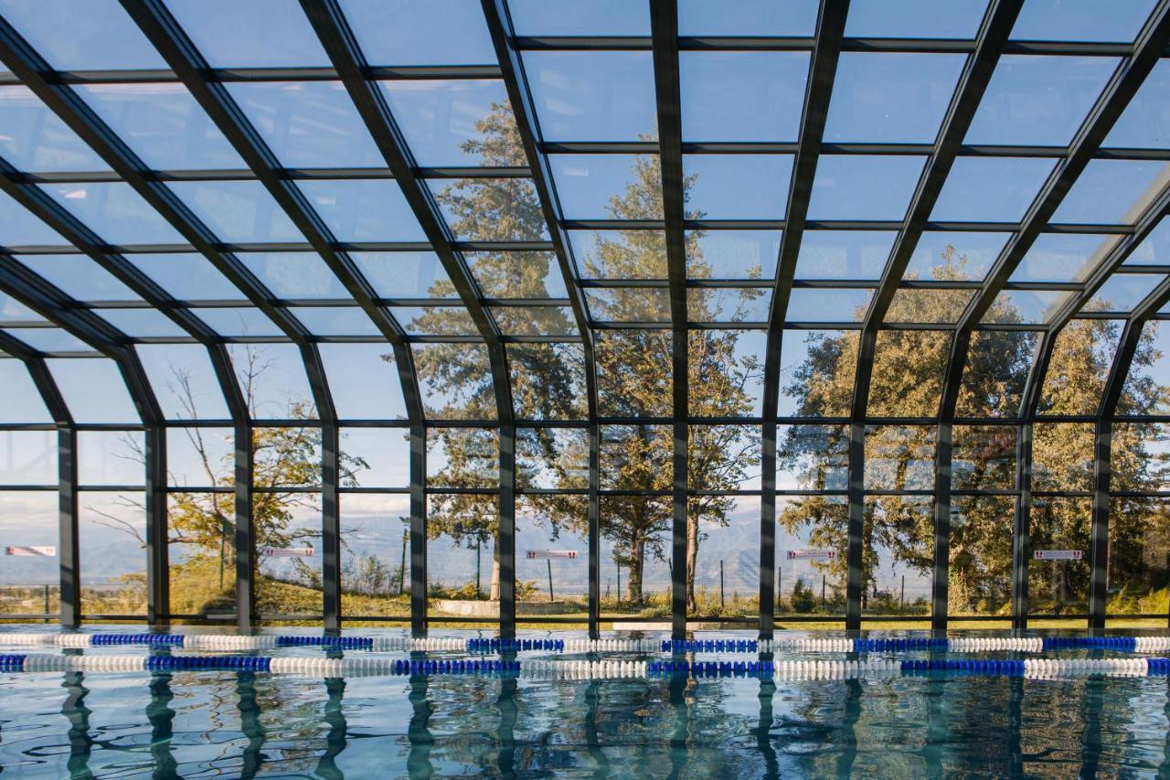 Tsinandali Estate, A Radisson Collection Hotel Εξωτερικό φωτογραφία Swimming pool with a retractable roof
