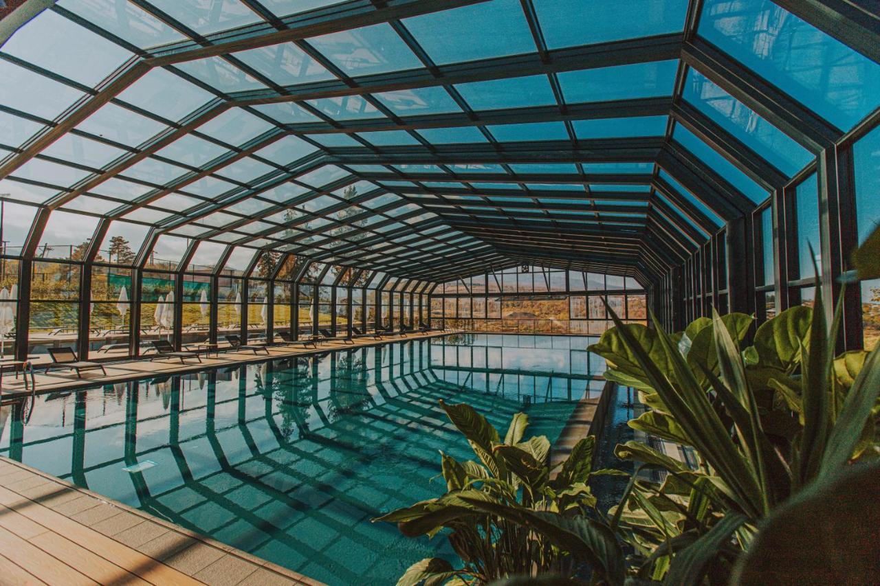Tsinandali Estate, A Radisson Collection Hotel Εξωτερικό φωτογραφία Swimming pool at the hotel