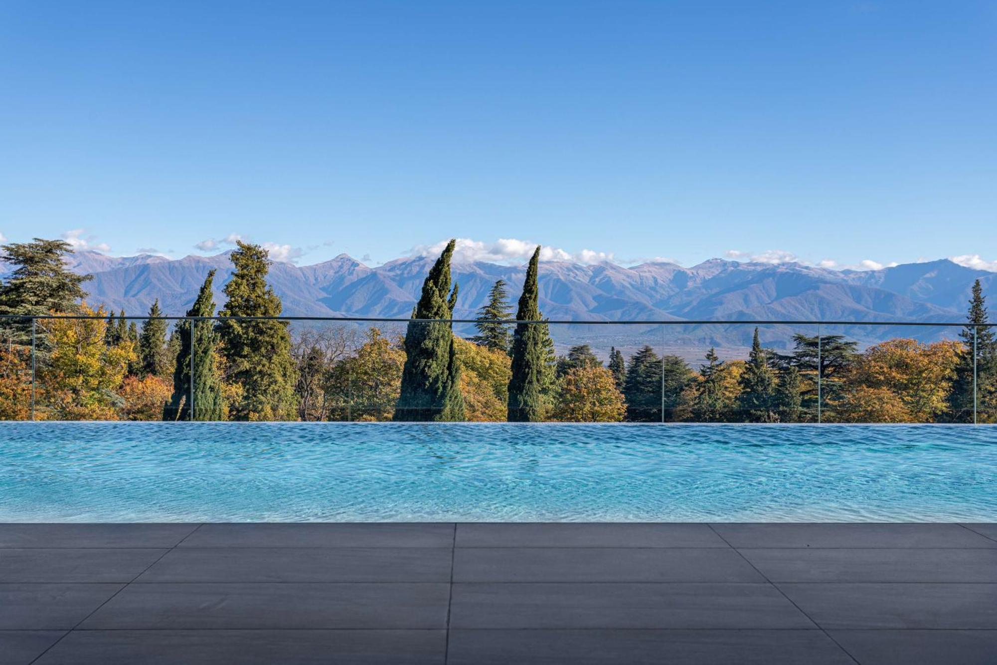 Tsinandali Estate, A Radisson Collection Hotel Εξωτερικό φωτογραφία